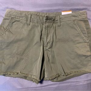 Time and Tru shorts